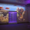 Проекционный дизайн "Виртуальная реальность" базовый комплект 500 анимаций - «globural.ru» - Можайск