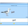 Английский язык. Освоение клавиатуры - «globural.ru» - Можайск