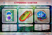 Стенды для кабинета биологии - «globural.ru» - Можайск