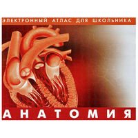 Анатомия. (Цифровой атлас школьника) - «globural.ru» - Можайск
