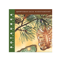 Ботаника. Микрофотографии. (Цифровая база изображений) - «globural.ru» - Можайск