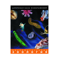 Зоология. Микрофотографии. (Цифровая база изображений) - «globural.ru» - Можайск