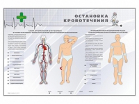 Электрифицированный стенд "Остановка кровотечения" - «globural.ru» - Можайск