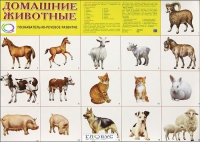 Демонстрационные карточки "Домашние животные" - «globural.ru» - Можайск