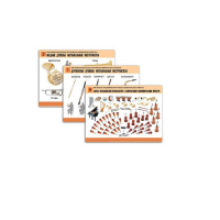 Комплект демонстрационных учебных таблиц (по предметной области музыка) - «globural.ru» - Можайск