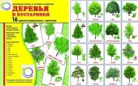 Демонстрационные карточки "Деревья и кустарники" - «globural.ru» - Можайск