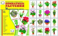 Демонстрационные карточки "Комнатные растения" - «globural.ru» - Можайск