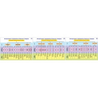Плакаты ПРОФТЕХ "Ассортимент продовольственных товаров" (3 пл, винил, 70х100) - «globural.ru» - Можайск