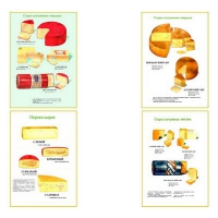 Плакаты ПРОФТЕХ "Ассортимент сыров" (9 пл, винил, 70х100) - «globural.ru» - Можайск