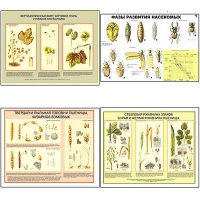 Плакаты ПРОФТЕХ "Вредители и болезни с/х культур и меры борьбы с ними" (11 пл, винил, 70х100) - «globural.ru» - Можайск