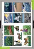 Окружающий мир. Летние и осенние изменения в природе (комплект таблиц) - «globural.ru» - Можайск