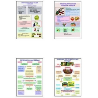 Плакаты ПРОФТЕХ "Классификация овощей и переработка" (8 пл, винил, 70х100) - «globural.ru» - Можайск
