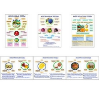 Плакаты ПРОФТЕХ "Плоды" (6 пл, винил, 70х100) - «globural.ru» - Можайск