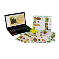 Коллекция натурально-интерактивная "Шишки, плоды, семена деревьев и кустарников" - «globural.ru» - Можайск