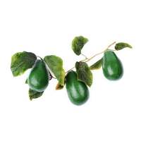 Муляж "Ветка авокадо" - «globural.ru» - Можайск