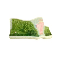 Модель Строение листа - «globural.ru» - Можайск