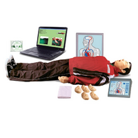 "Максим III-01"  тренажер сердечно-легочной и мозговой реанимации c обучающей компьютерной анимационной программой - «globural.ru» - Можайск