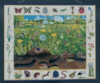 Магнитный плакат "Природное сообщество луга" - «globural.ru» - Можайск