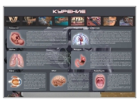 Стенд "Курение" (вариант 1) - «globural.ru» - Можайск