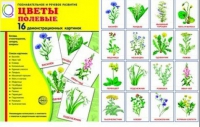 Демонстрационные карточки "Цветы полевые" - «globural.ru» - Можайск
