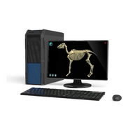 Макет масштабный «Скелет Лошади» Масштаб 1:2 - «globural.ru» - Можайск