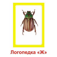 Логопедка "Ж" (логопедические карточки) - «globural.ru» - Можайск