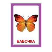 Логопедка "Ч" (логопедические карточки) - «globural.ru» - Можайск