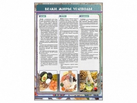 Стенд "Белки. Жиры. Углеводы" - «globural.ru» - Можайск