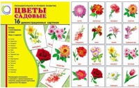 Демонстрационные карточки "Цветы садовые" - «globural.ru» - Можайск