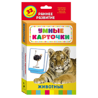 Карточки Домана "Животные" - «globural.ru» - Можайск