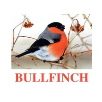 "Birds-1" ("Птицы-1") английские карточки Домана - «globural.ru» - Можайск