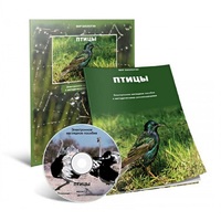 Электронное наглядное пособие «Птицы» - «globural.ru» - Можайск
