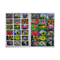 Английское лото "Цветы - травы" - «globural.ru» - Можайск