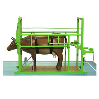 Наглядный макет «Методы и устройства для фиксации КРС» - «globural.ru» - Можайск