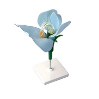 Модель цветка гороха - «globural.ru» - Можайск