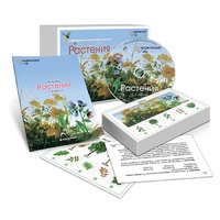 Комбинированное наглядное пособие «Растения» - «globural.ru» - Можайск