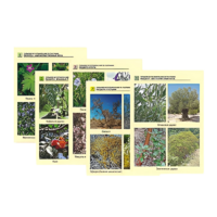 Гербарий фотографический по географии - «globural.ru» - Можайск