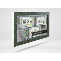 Сенсорная панель «Финансовая грамотность» для школ 55" - «globural.ru» - Можайск