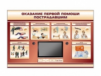 Многофункциональный интерактивный стенд-тренажер "Оказание первой помощи пострадавшим" для учащихся общеобразовательных учреждений - «globural.ru» - Можайск