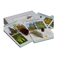 Коллекция "Голосеменные растения" (вариант 2) - «globural.ru» - Можайск