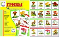 Демонстрационные карточки  "Грибы съедобные и не съедобные" - «globural.ru» - Можайск