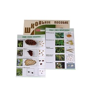 "Шишки, плоды, семена деревьев и кустарников" - «globural.ru» - Можайск