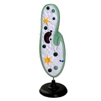 Модель инфузории-туфельки - «globural.ru» - Можайск