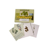 Гербарий "Деревья и кустарники" (22 вида, с иллюстрациями) - «globural.ru» - Можайск