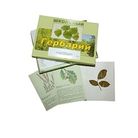 Гербарий "Дикорастущие растения" (30 видов, с иллюстрациями) - «globural.ru» - Можайск
