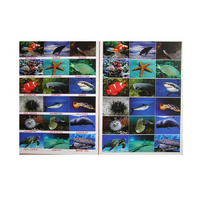 Английское лото "Подводный мир" - «globural.ru» - Можайск