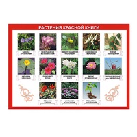 Таблица демонстрационная "Растения Красной книги" (винил 100х140) - «globural.ru» - Можайск