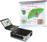 Диск с электронными плакатами, презентациями (электронный учебник) по биологии (150 тем)  - «globural.ru» - Можайск