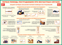  Таблица Общий порядок оказания первой помощи пострадавшим 1000*1400 винил	 - «globural.ru» - Можайск