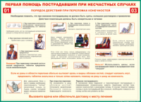 Таблица Порядок действий при переломах конечностей 1000*1400 винил - «globural.ru» - Можайск